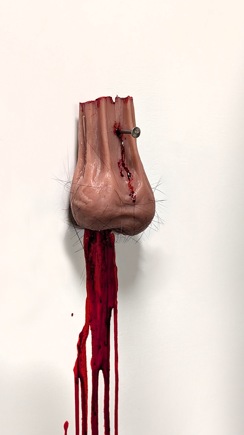 testicles nailed to a white wall with a common nail with blood dripping downward